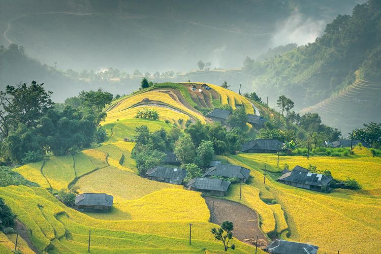 Bak Negeri Dongeng, Desa Terkecil di NTT  Ini Ternyata Dinobatkan Jadi Desa Terindah di Dunia