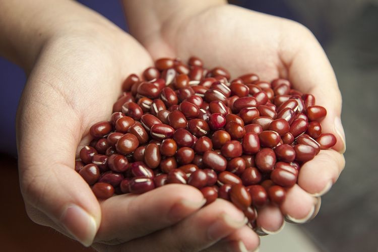 Ternyata Begini Caranya, Tips Mengolah Kacang Merah Sebelum Digunakan, 100 Persen Pasti Empuk!