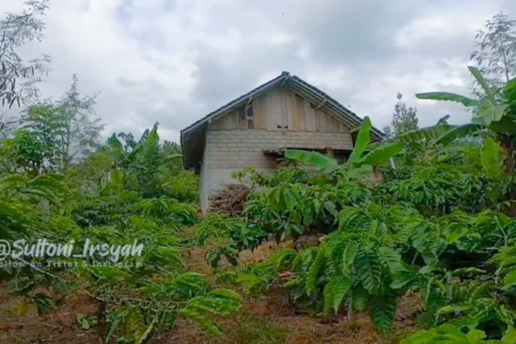 Tak Ada Tetangga dan Listrik, Rumah Ini Berdiri Sendiri di Tengah Hutan Angker Alas Gumitir, Dihuni Pasangan Lansia?
