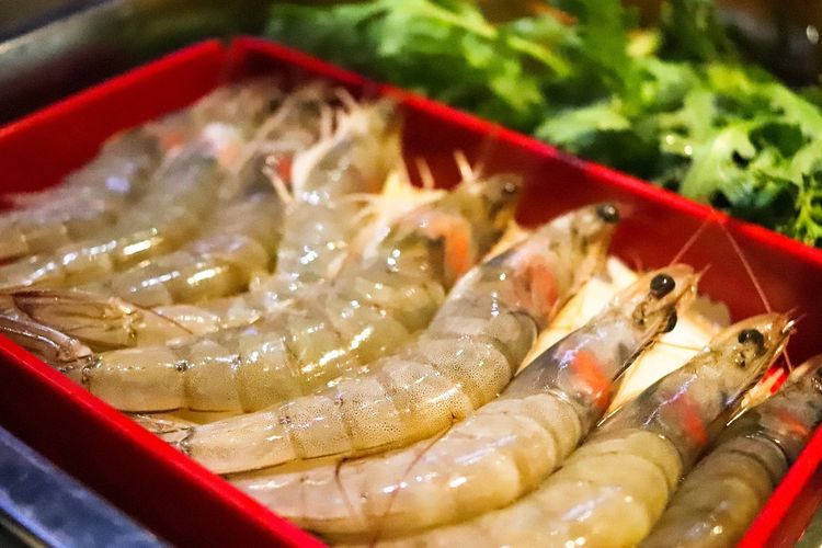 Jangan Langsung Dibekukan! Begini Cara Menyimpan Udang Fresh, Siapkan Wadah dan Lakukan Hal Ini