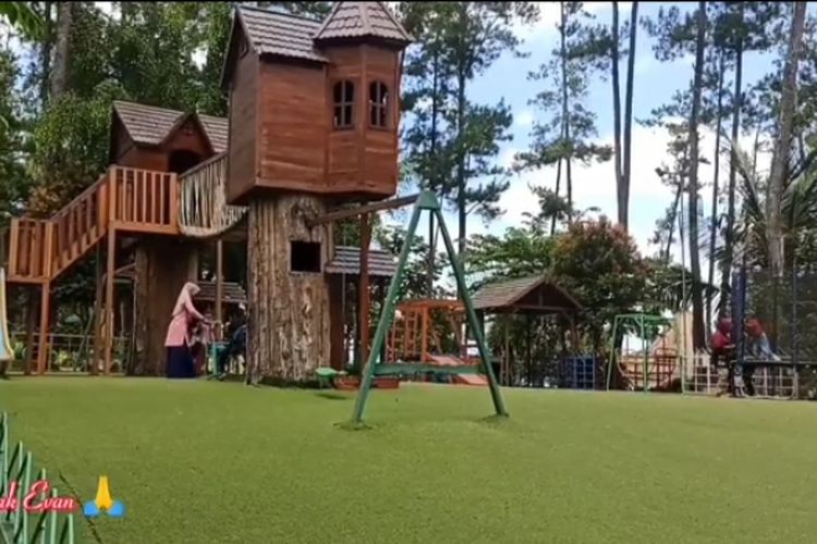 50 Km dari Cilacap, Wisata Alam Hutan Pinus di Jawa Tengah Ini Hadirkan Berbagai Spot Menarik: HTMnya Cuma Rp13 Ribu