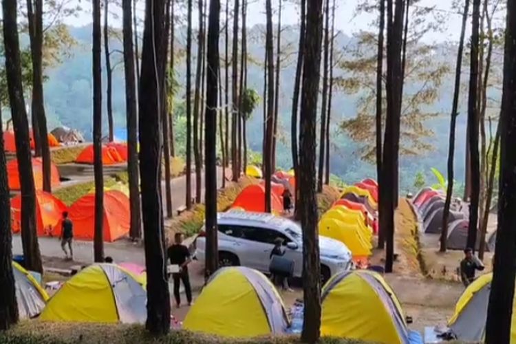Bisa Jadi Tempat Liburan Untuk Keluarga, Kawasan Hutan di Mojokerto Ini Tawarkan Keindahan Alam Mempesona: Bisa Camping di Sini!