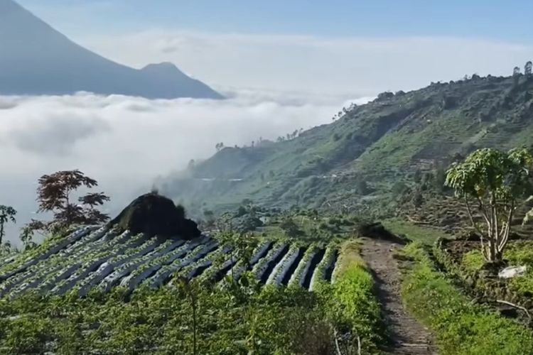 Auto Pindah KTP ke Wonosobo, Desa Tersembunyi di Langit Jawa Tengah Ini Selalu Berselimut Kabut: Rumah Impian Pensiun Banget!
