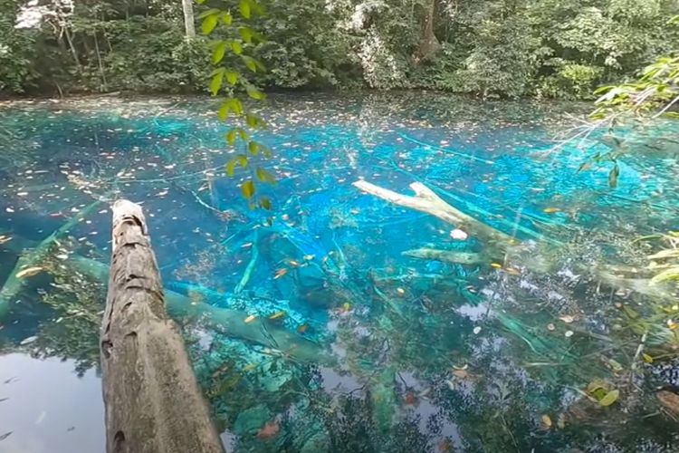 Surga Tak Terjamah Kalimantan Timur, Danau Cantik yang Keindahannya Mirip Blausee Swiss Ini Berada di Berau
