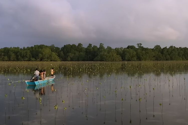 Sisi Lain Surga Bahari Kalimantan Timur, Kampung Nelayan di Bontang Ini Ternyata Berada di Tengah Samudra Borneo