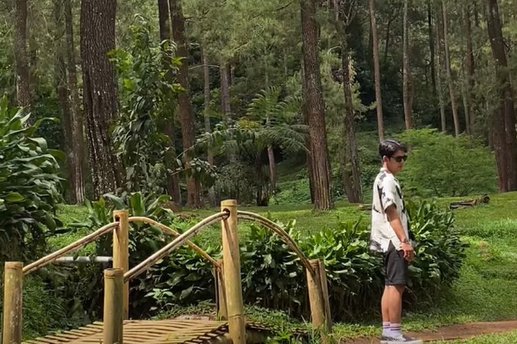 2 Jam dari Jakarta, Camping Ground Terdingin se-Puncak Bogor Ini Punya View Cantik dari Ketinggian 1.080 Mdpl