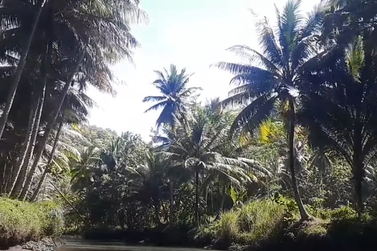 Siapa Sangka Wisata Susur Sungai di Pacitan Ini Bersumber dari Goa Bawah Tanah: Lokasinya Cuma 1 Menit dari Pantai Kasap!