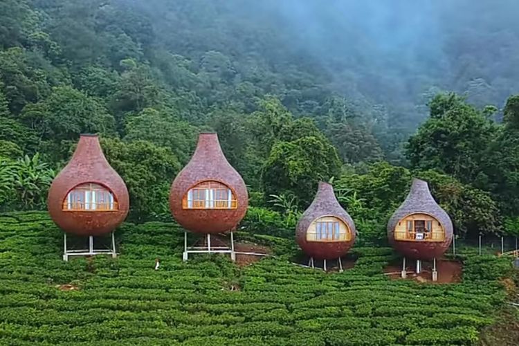 Unik Banget! Spot Wisata Glamping di Bogor Ini Mirip Sarang Burung Raksasa di Tengah Hutan, Namanya…