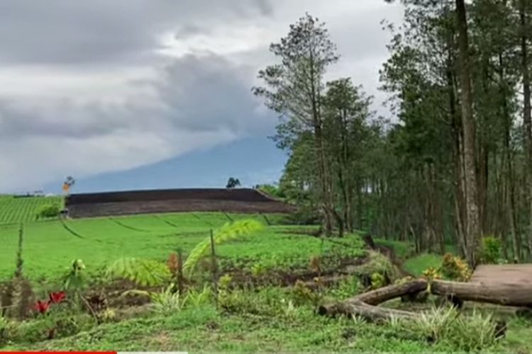 Gak Pengen Ke Sini? Bukit Jengkoang di Kota Batu Ini Tawarkan Wisata Liburan Gratis, View-nya Gunung Arjuno