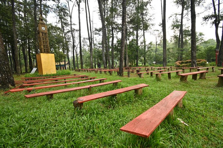 Lokasinya di Tengah Kota Palembang,  Bisa Menikmati Suasana Alam Hutan Pinus Bak Negeri Dongeng Cuma Perlu Modal Rp25 Ribu Saja