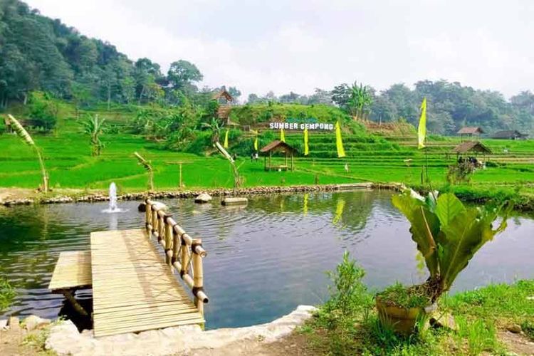 Cuma Modal Rp5 Ribu Saja, Bisa Menikmati Keindahan Hamparan Sawah Hijau yang Menawan di Mojokerto