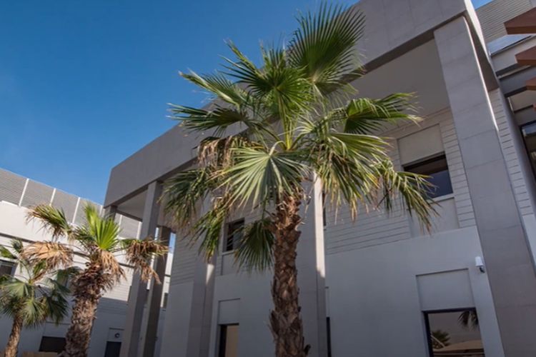 Dikelola Mantan Pendidik di Italia, Sekolah Swasta Termewah Qatar Ini Sukses Raih Predikat Luar Biasa, Ini Alasannya