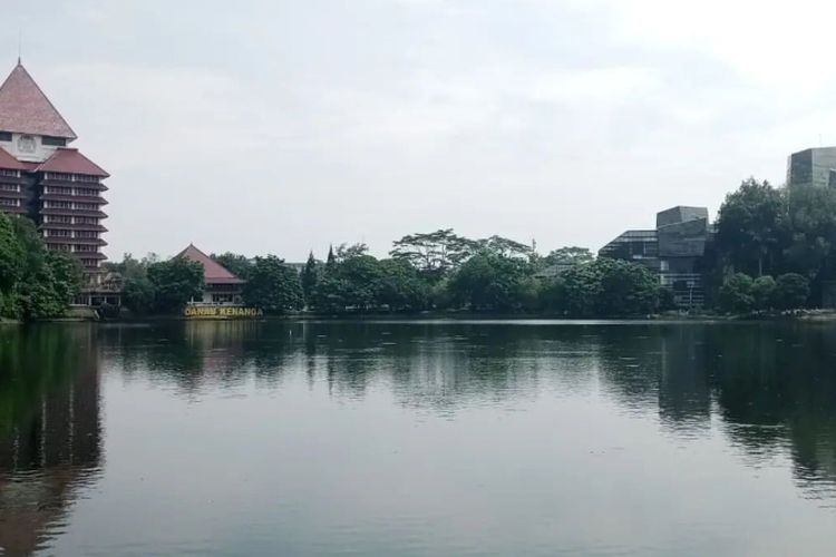 Belajar Sambil Healing, Inilah 5 Perpustakaan Paling Nyaman di Indonesia: Teruniknya Ada Sungai Buatan!