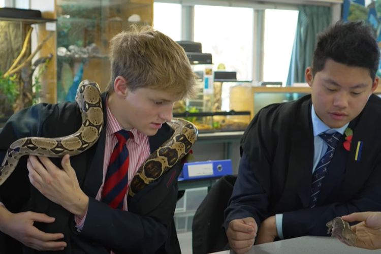 Mulai Terima Ekspatriat Pada Tahun 2000-an, Sekolah Internasional di Dubai Ini Dulunya Cuma Tampung 17 Siswa