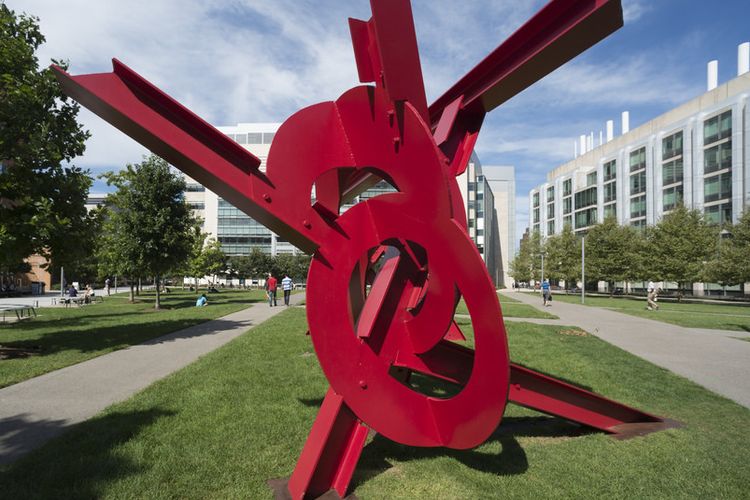 Lahirkan Segudang CEO, Kampus Top Dunia di Amerika Serikat Ini Miliki Infinite Corridor