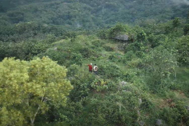 Ada Keajaiban Alam di Jawa Tengah, Bukit Terindah Kebumen Ini Dulunya Lautan dan Gunung Purba