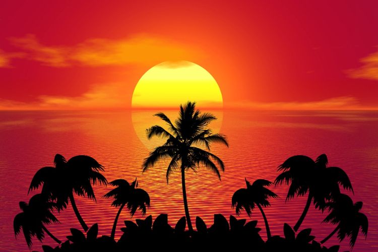 Unik! Penghuni Kampung di Pucuk Barat Gorontalo Ini Jarang Menapak Tanah, Ternyata Karena…