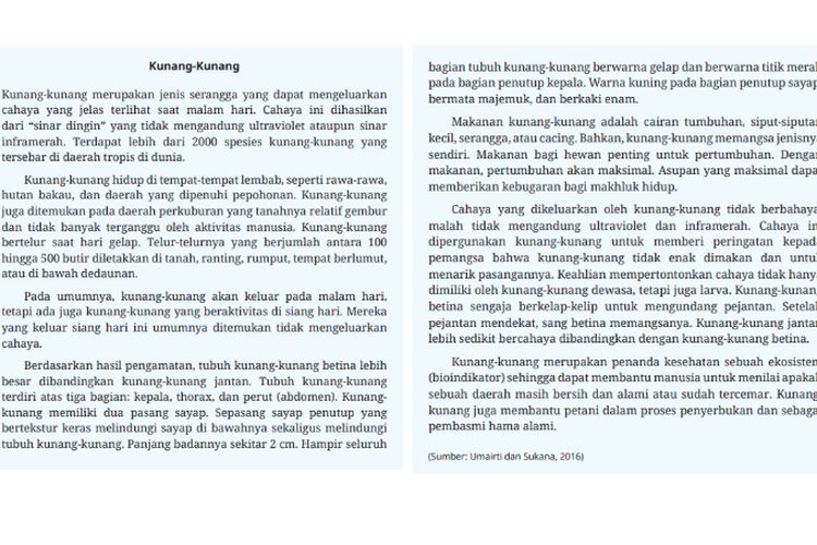 Kunci Jawaban Bahasa Indonesia Kelas 10 SMA Halaman 11 12 13: Membaca Laporan Hasil Observasi ‘Kunang-Kunang’