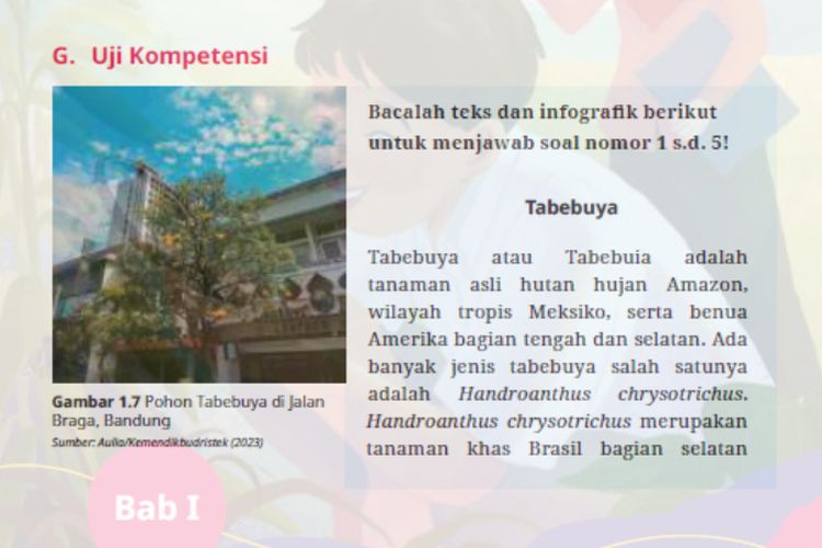 Uji Kompetensi Teks ‘Tabebuya’, Kunci Jawaban Bahasa Indonesia Kelas 10 SMA Halaman 29 30 31 32 Kurikulum Merdeka (Ed. Revisi)