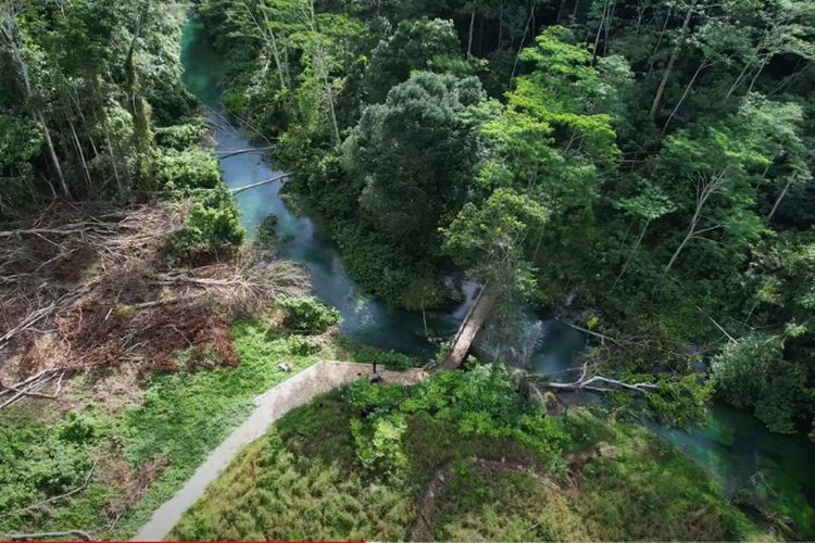 1,93 Juta Ha Lahan Kalimantan Selatan ‘Disulap’ Jadi Konsesi Harta Karun, ‘Hutan Keramat’ Suku Dayak Terancam?