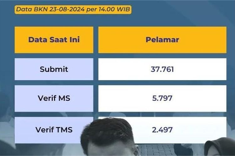 Ribuan Pelamar Dinyatakan Tidak Memenuhi Syarat! Ini Tips dan Cara untuk Mengantisipasi Status TMS di CPNS 2024