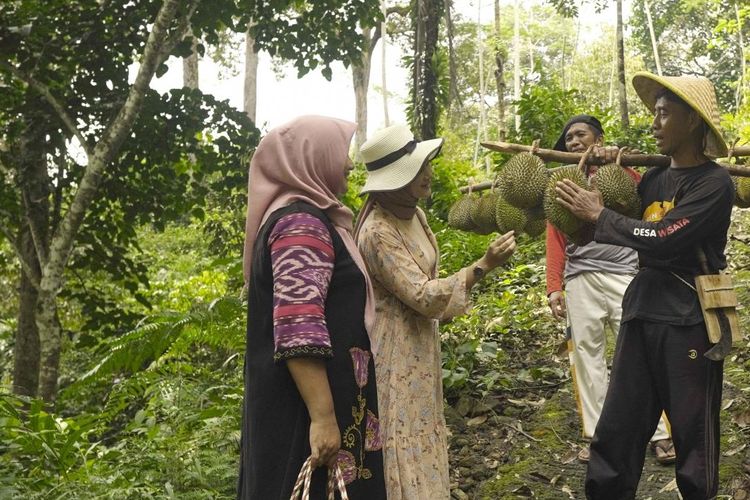 Wow! Hutan Durian Terluas di Asia Tenggara Rupanya Ada di Jawa Timur, Tepatnya di Desa Wisata Ini