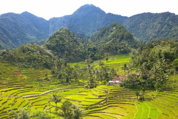 Jawa Timur Rajanya Kearifan Lokal? Inilah 5 Provinsi dengan Desa Wisata Terbanyak di Indonesia