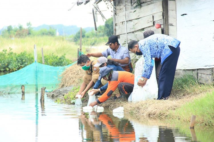 Tendang Semarang! Kabupaten Kecil Ini Tiba-tiba Jadi yang Terkaya di Jawa Tengah: Bisa Tebak?