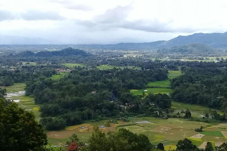 Terkecil di Sumatera Barat, Calon DOB Pecahan Kabupaten Agam Luasnya Hanya 648,56 KM Persegi