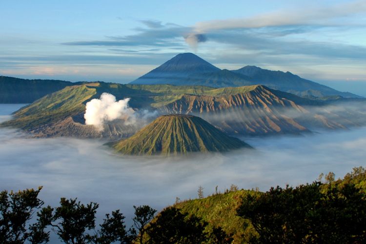 Jawa Timur Punya ‘Lahan Emas’, Petani Bisa Untung Berlipat Berkat Komoditas Pertanian Ini: Apa Itu?