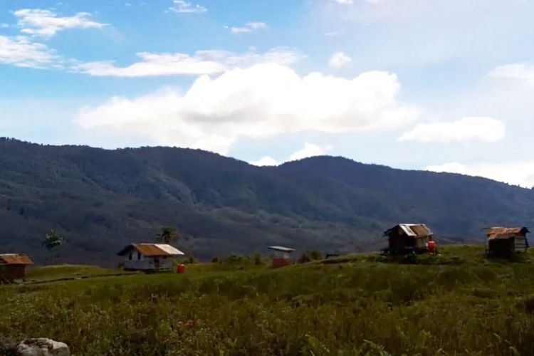 Kabar Baik! 3 Daerah Otonom Baru Kabupaten Pegunungan Bintang Diupayakan Ketuk Palu Tahun Ini