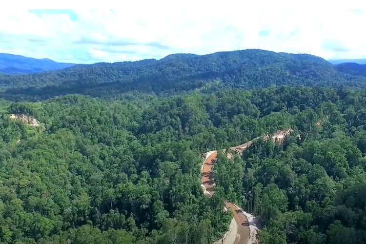 Ini 3 Megaproyek Ambisius Joko Widodo Jelang Akhir Masa Jabatan, Termahal di Papua Senilai Rp3,339 Triliun!