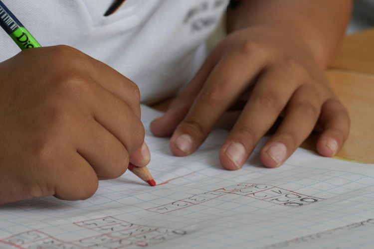 Donggala Termasuk Daerah Tertinggal? Pendidikan Warga di 3 Daerah Sulawesi Tengah Ini Hanya Sampai SMP