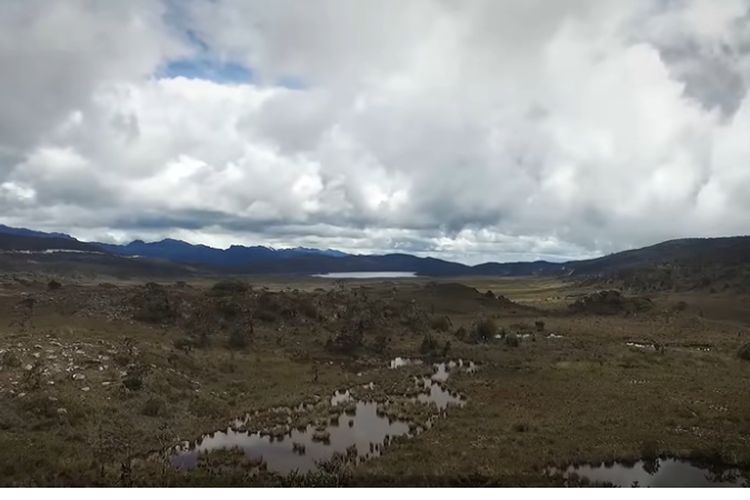 Gegara Pembangunan Lelet, Kabupaten Nduga Bersiap Lahirkan 2 Daerah Otonom Baru: Bakal Saingi Papua?