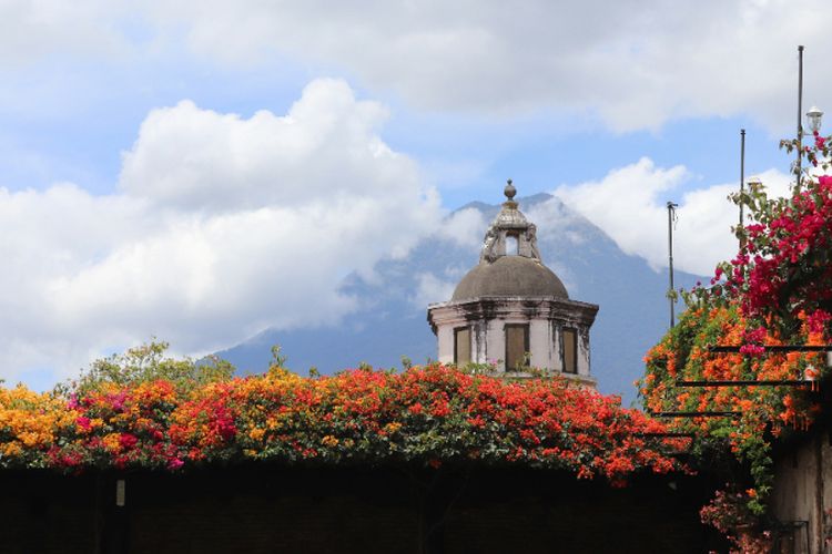 Digelari ‘Kota Sejuta Bunga’, Magelang Punya Banyak Julukan Keren: Ini Dia Sederetan Makna di Baliknya