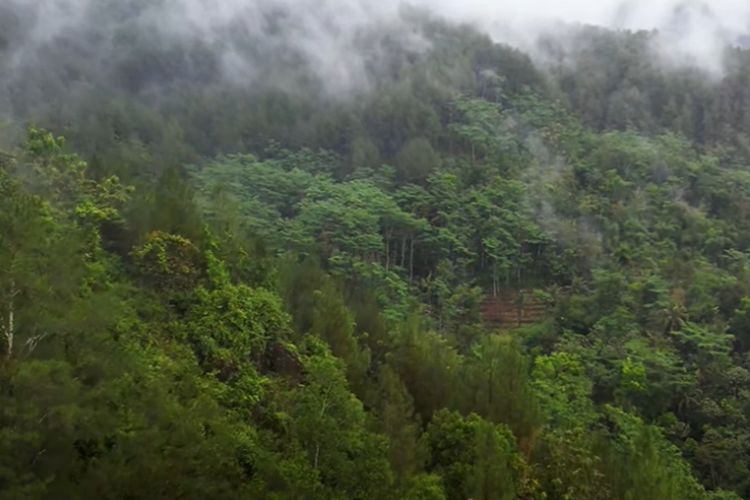 Kebumen Masuk Klub Eksklusif UNESCO! Simak 9 Geopark Indonesia Lainnya yang Tak Kalah Keren