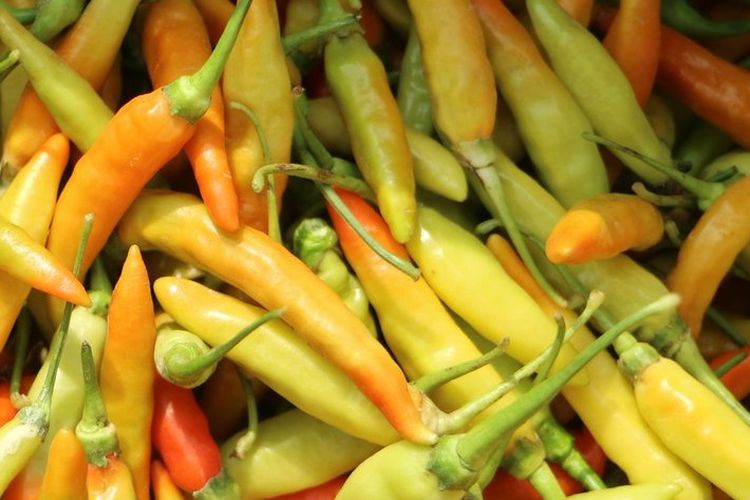 DKI Jakarta Cari Cabai Rawit Sampai ke Ujung Dunia, Padahal di Provinsi Ini Melimpah