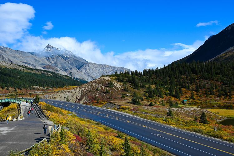 Pantas Biayanya Rp305 Miliar per Km, Jalan Tol Samarinda-IKN Super Unik: Ada Jembatan Layang Demi si ‘Dia’