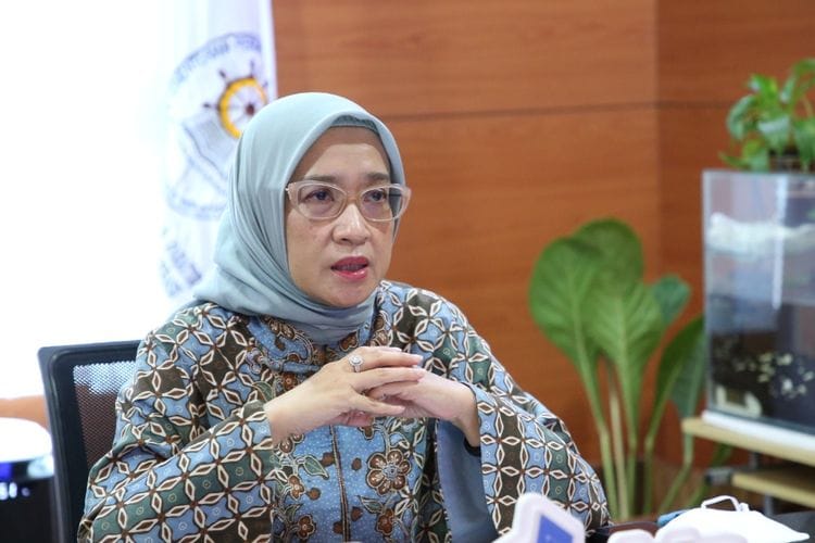 Resmi Disahkan MenPAN RB Rini Widyantini, Honorer Gagal Tes PPPK 2024 Masih Diberi Kesempatan Emas Ini