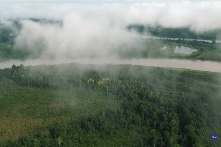 Pulau Kalimantan Mendominasi Sungai Terpanjang, No 6 Dijuluki Amazonnya Indonesia