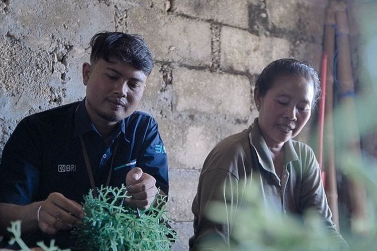 BRI Tingkatkan Kapasitas Usaha Klaster Rumput Laut di Dusun Semaya, Nusa Penida