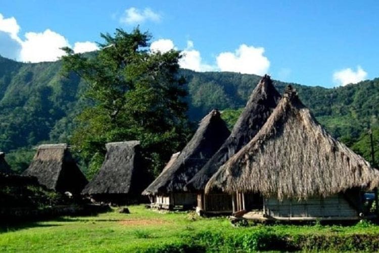 Rumah Kerucut Berusia 800 Tahun Jadi Warisan Arsitektur Budaya di Kampung Adat Wologai, Flores