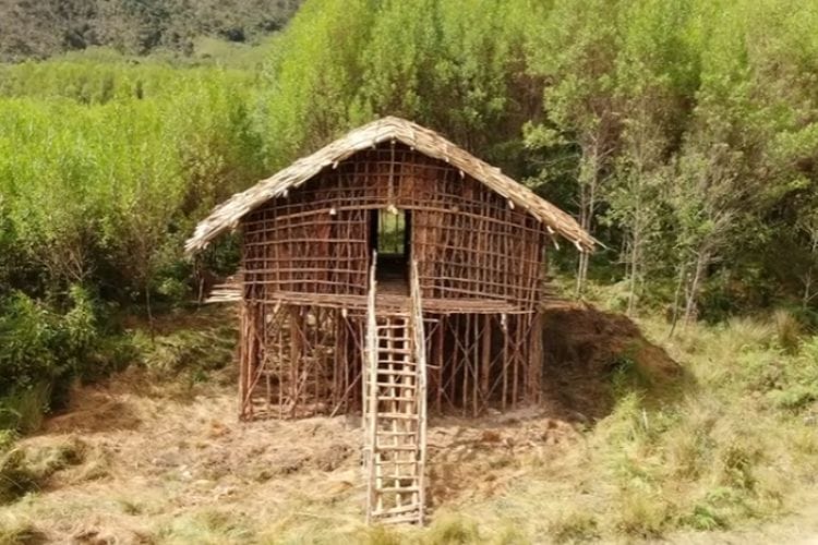 Uniknya ‘Rumah Kaki Seribu’ di Papua Barat, Dibangun Demi Lindungi Suku Arfak dari 3 Hal Mengerikan Ini
