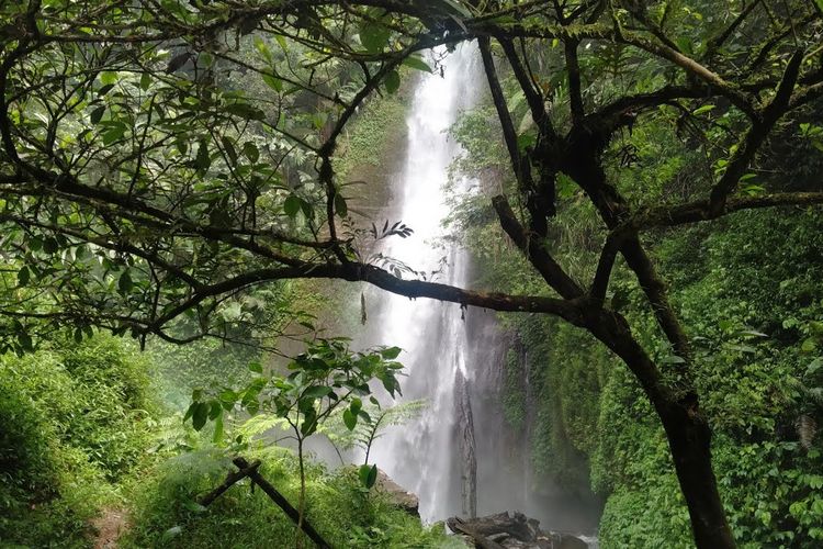 Curug Cibuluh Gunung Halu, Pesona Alam Tersembunyi yang Jarang Terekspos, Penasaran?