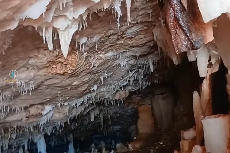 Warga Gunungkidul Heboh! Goa Cantik Berusia Ribuan Tahun Ditemukan Saat Garap Proyek JJLS