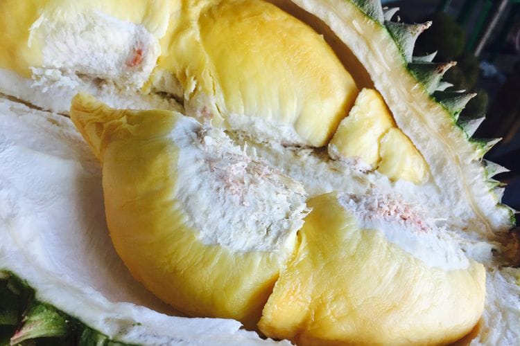 Ternyata Biji Durian Dapat Mengatasi 4 Penyakit Berbahaya, Begini Kata dr Zaidul Akbar