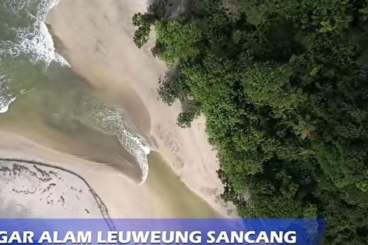 Leuweung Sancang, Destinasi Wisata Eksotis di Garut Tapi Sarat Mitos Angker