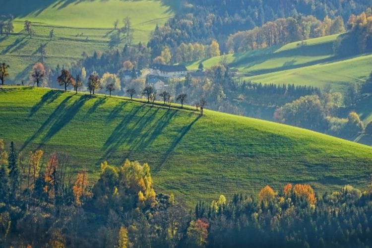 7 Desa Tertinggi di Indonesia dengan Keindahan Eksotis, Nomor 1 Terletak di Kabupaten Seluas 688 km di Jawa Timur Ini