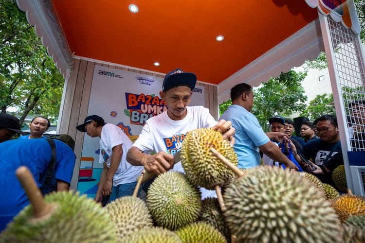 Berkat Pemberdayaan BRI Kelompok Petani Durian di Pekalongan Berhasil Berkembang Pesat