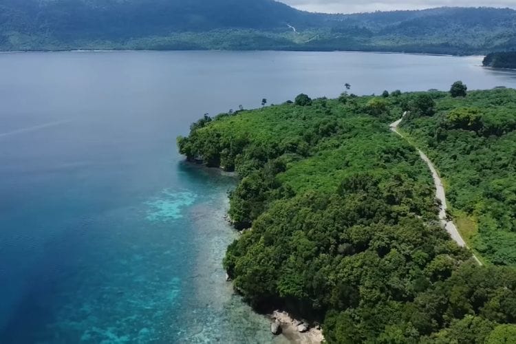 Bikin Minder Dunia, Tiga Negara Asia Pilih Numpang Hidup di Pulau Terbesar ke-2 di Indonesia